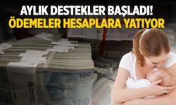 Aylık destekler başladı! Ödemeler hesaplara yatıyor