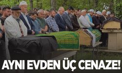 Arazi kavgası aynı aileden üç can aldı!