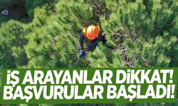 Başvurular başladı… 105 personel alımı yapılacak!