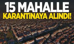 Bir ilde şap krizi! 15 mahalle karantinaya alındı!