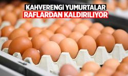 Bir ülke karar aldı! Kahverengi yumurta raflarda olmayacak