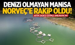 Denizi olmayan Manisa, Norveç’e rakip oldu! Artık sadece üzümle anılmayacak…
