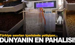 Dünyanın en pahalısı… Türkiye’de yetişiyor… Yarım altınla yarışıyor