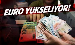Euro yükseliyor