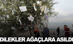 Manisalılar Hacet Dede’ye akın etti... Evlenmeyi dileyen de oldu, memur olmayı dileyen de...