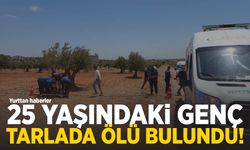 Gaziantep'te bir genç zeytin tarlasında ölü bulundu!