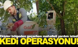 GDZ ekiplerinden kedi operasyonu… Dakikalar sürdü!
