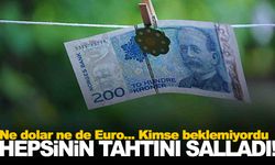 Kimse ihtimal bile vermiyordu… Ne dolar ne Euro… İşte yükselen para birimi!