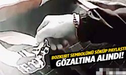 İzmir’de Bozkurt sembollerini söküp paylaşan kişi yakalandı!