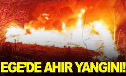 Ege’de ahır yangını… 54 kuzu yanarak telef oldu