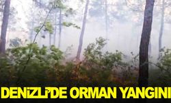 Denizli orman yangını… Rüzgar müdahaleyi zorlaştırıyor