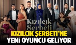 Ayrılıklar sarsmıştı... Kızılcık Şerbeti’ne sürpriz isim