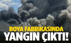 Kocaeli’de boya fabrikasında yangın çıktı… Dumanlar gökyüzünü kapladı!