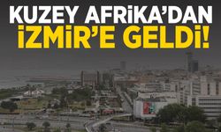 Kuzey Afrika’dan geldi, İzmir’i kapladı!