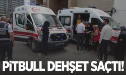 Etkinlikte pitbull dehşeti: Bir kadın yaralandı