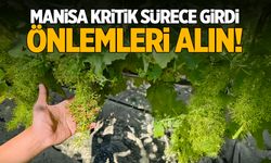 Manisa en hassas döneme girdi!