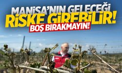 Manisa riske girebilir! Boş bırakmayın...