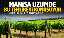 Manisa üzümdeki bu tehlikeyi konuşuyor! Alarm zilleri çalıyor…