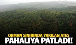 Manisa’da ateşle oynayanlara ceza kesildi!