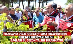 Manisa’da don geçti ama üreticinin sınavı bitmedi… Uyarı geldi! ‘Bağları bu sezon yalnız bırakmayın…’