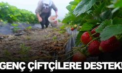 Manisa’da genç çiftçilere çilek fidesi desteği verilecek!