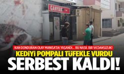 Manisa’da kan donduran olay… Kediyi pompalı tüfekle vurdu!