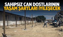 Turgutlu’da sahipsiz sokak hayvanları için çalışma