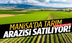 Manisa’da tarım arazisi satılıyor! Açık artırma için geri sayım başladı…