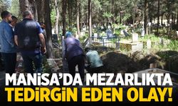 Manisa'daki mezarlıkta tedirgin eden olay