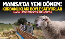 Manisa'da yeni dönem! Kurbanlıkları artık böyle satıyorlar...