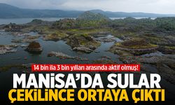 Manisa'daki lav kalıntıları üreme alanı oldu