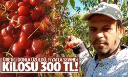 Manisalı üreticiye moral oldu… Kilosu 300 liradan satılıyor!