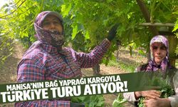 Manisa’nın bağ yaprağı kargoyla Türkiye turu atıyor!