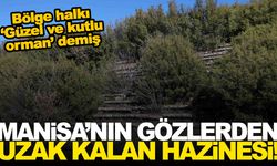 Her yerinden tarih fışkıran Manisa’nın gözlerden uzak kalan hazinesi!