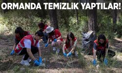 Manisa’da üniversiteliler ormanda temizlik yaptı