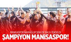 Manisaspor namağlup şekilde BAL'a yükseldi!