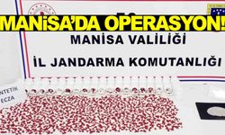 Manisa’da jandarmadan operasyon… Binlerce uyuşturucu ele geçirildi