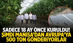 Sadece 18 ay önce kuruldu! Şimdi Manisa’dan Avrupa’ya 500 ton gönderiyorlar…