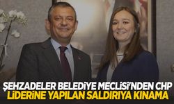 Şehzadeler Meclisi’nden Özgür Özel’e yapılan saldırıya sert tepki!