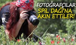 Spil Dağı’nda lale mesaisi!