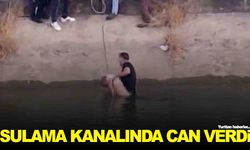 Sulama kanalına düşüp can verdi