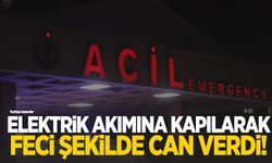 Süt sağarken elektrik akımına kapılarak hayatını kaybetti