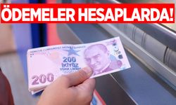 Bakanlık açıkladı! Ödemeler hesaplara aktarıldı!