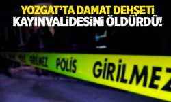 Tartıştığı kayınvalidesini bıçaklayarak öldürdü!