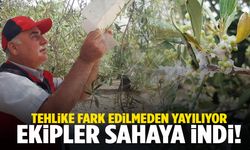 Tehlike fark edilmeden yayılıyor… Manisa’da ekipler sahaya indi!