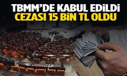 Bunu yapan yandı... Cezası 15 bin TL oldu! Tekrarda iki kat ceza ödenecek