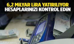 Toplamda 6,2 milyar lira! Paralar hesaplara yatırılıyor…