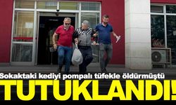 Manisa’da sokaktaki kediyi pompalıyla öldürmüştü… Mahkemeden karar çıktı!