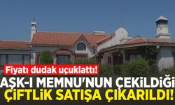 Aşk-ı Memnu'nun çekildiği çiftlik satılıyor!