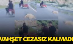 Vahşet görüntülerine ceza!